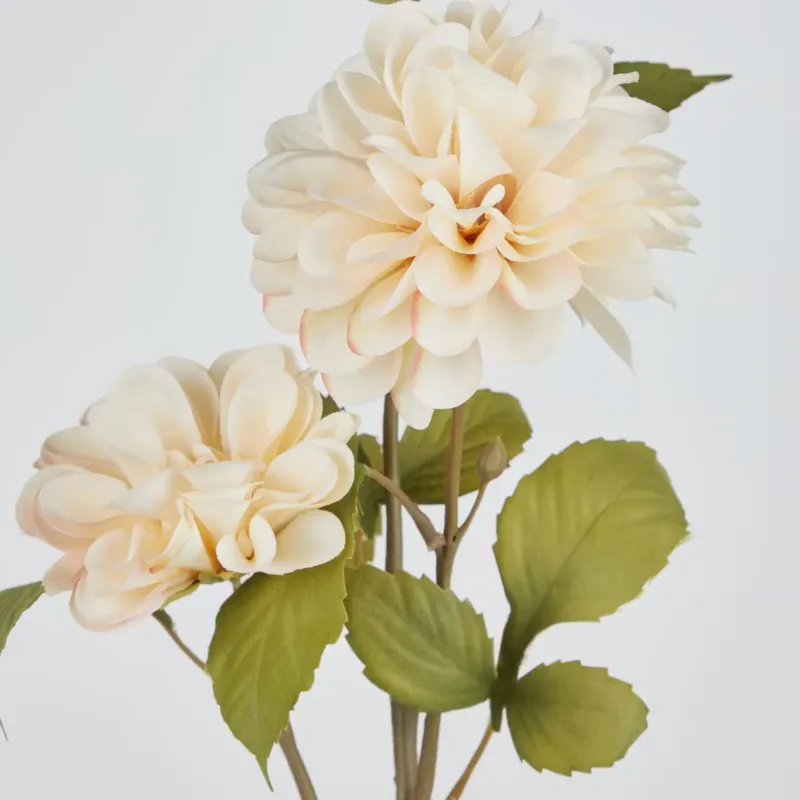 FLORISTA Kunstblume Chrysamtheme - Eisen/Polyethylen - Creme