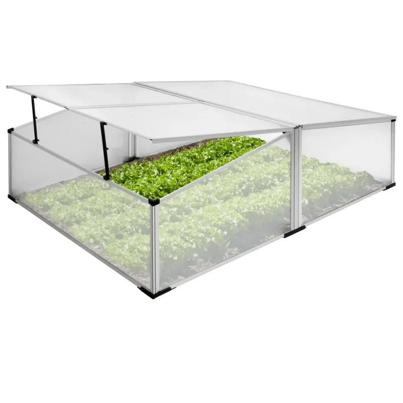 Ein Gewächshaus mit transparenten Wänden und grünem Salat im Inneren.