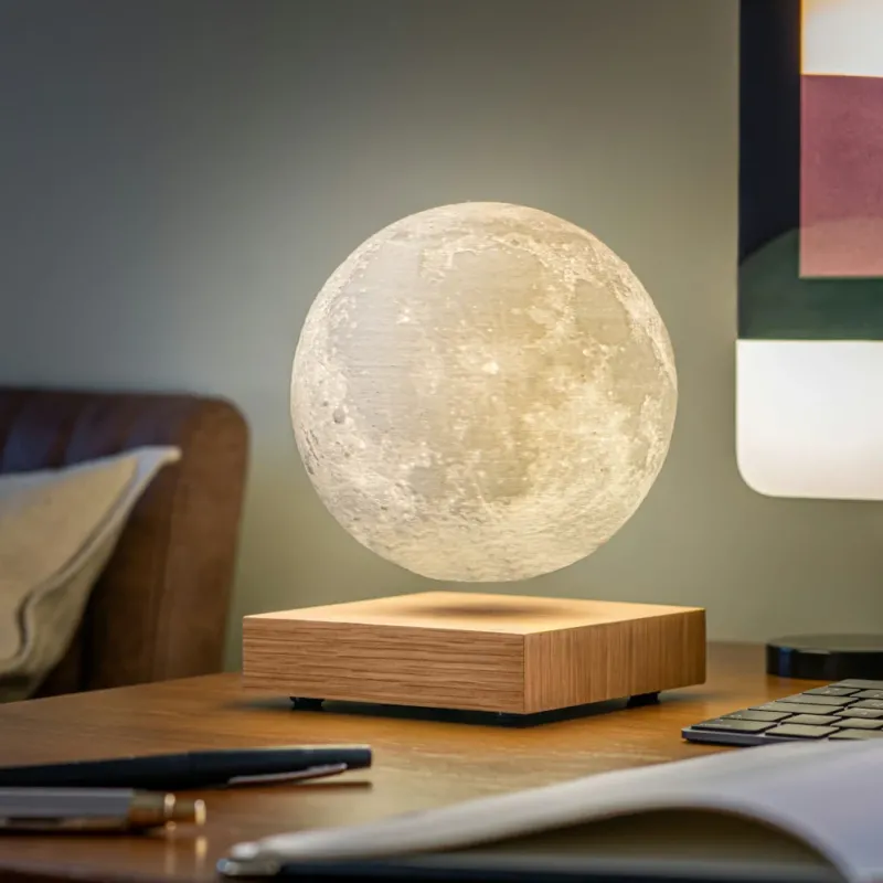 Smart-Lamp-Moon-White-Ash-Gingko-05