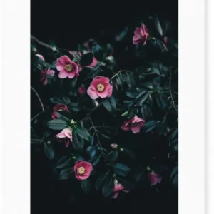 Affiche Flowers encadrée Moebe noir A3 - Le Renard - The Cool Republic