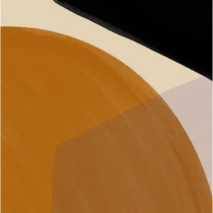Affiche Lisa Wirenfelt Foxtrot 30 x 40 cm - The Poster Club - The Cool Republic