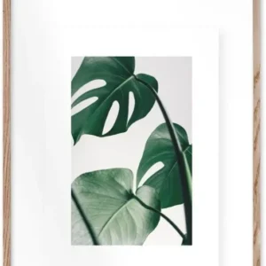 Affiche Monstera encadrée Moebe chêne A2 - Le Renard - The Cool Republic
