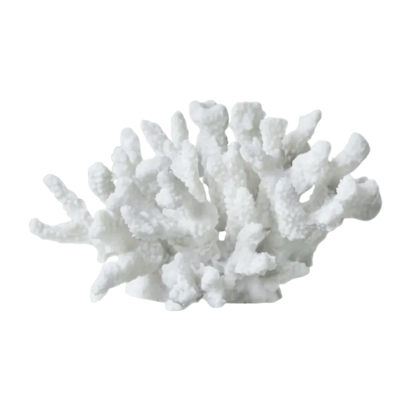 Corail branche en polyrésine blanche 16 cm Coral - Mette Ditmer - The Cool Republic