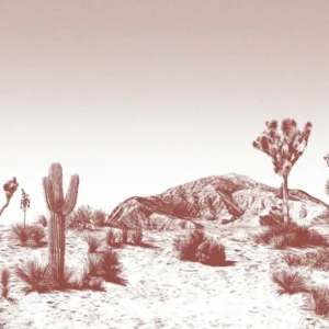 Papier peint sépia Arizona - Edito - The Cool Republic