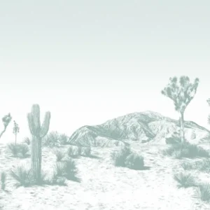 Papier peint vert Arizona - Edito - The Cool Republic