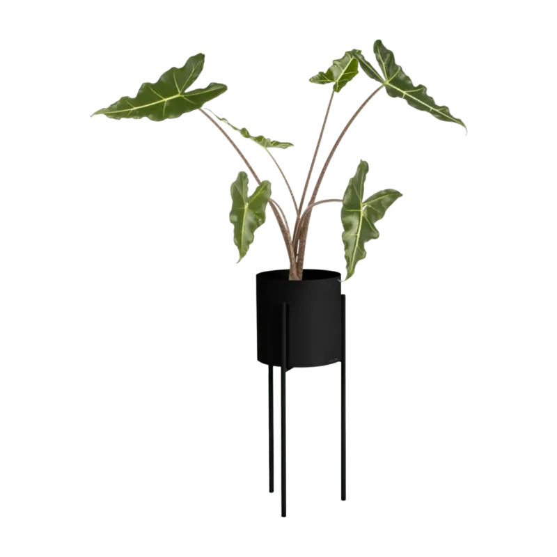 Pot à plantes en acier noir Maki - noo.ma - The Cool Republic