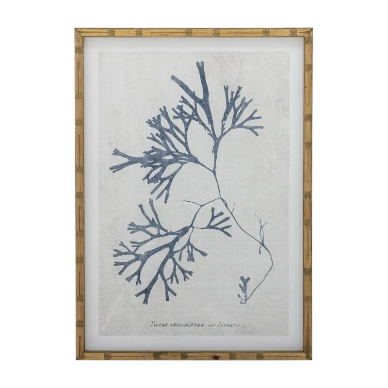 Illustration Sumner Avec Cadre Nature Firwood - Bloomingville
